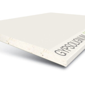 Cartongesso GYPSOTECH GYPSOLIGNUM 3000x1200mm 1,2cm spessore Fassa Bortolo