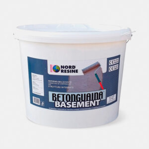 Nord Resine KIT BETONGUAINA BASEMENT