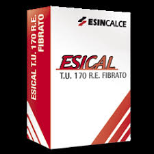 MASSETTO PREMISCELATO FIBRATO SEMIRAPIDO ESICAL T.U.170 R.E. sacco kg25