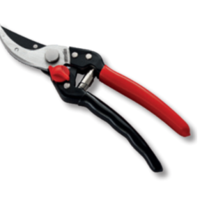 Ausonia Forbice professionale da vigna cm 23