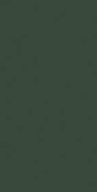 PIASTRELLE CRAYONS MOSS 60 X 120 RETTIFICATO FLORIM CERIM - immagine 4