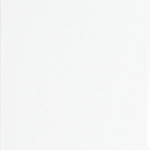 PIASTRELLE BIANCO MATT 20 X 20 PAUL & Co. CERAMICHE IN BICOTTURA
